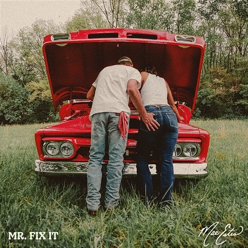 Mr. Fix It Mae Estes