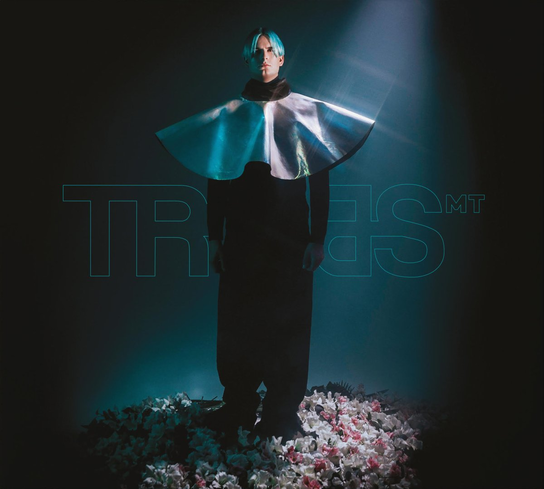 Mt Tribbs