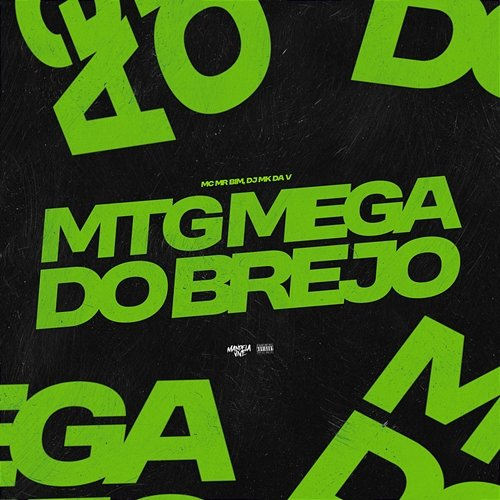 MTG - MEGA DO BREJO Mc Mr. Bim & DJ MK DA V