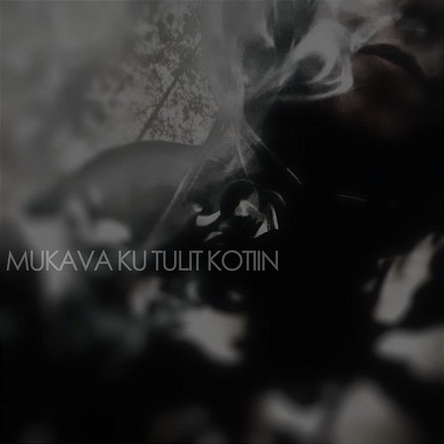 Mukava ku tulit kotiin Maagi