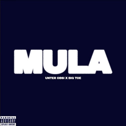 MULA Unter Obsi, YY, Big Toe feat. DIZZY