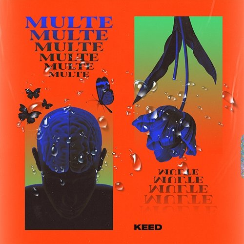 Multe Keed