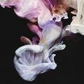 Murmurations Simian Mobile Disco