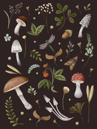Mushroom Lined Journal Quarto Publishing