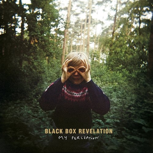 My Perception The Black Box Revelation