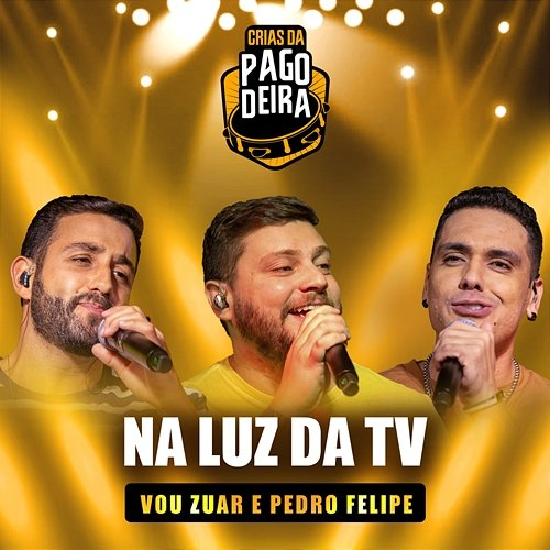Na Luz Da TV Vou Zuar feat. Pedro Felipe, Pagodeira, FM O Dia