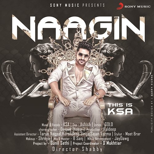 Naagin Karan Singh Arora