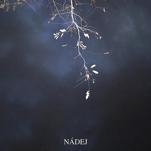 Nadej Samey feat. Saul