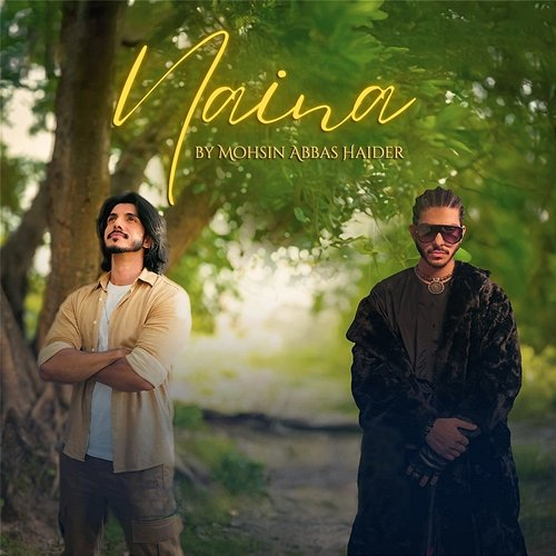 Naina Mohsin Abbas Haider