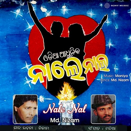 Nale Nal Md. Nizam