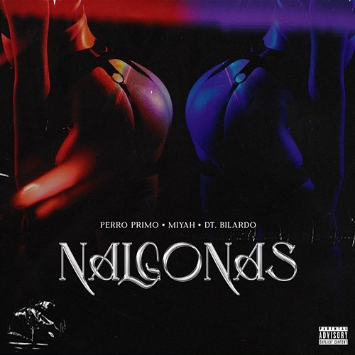 Nalgonas DT.Bilardo, Perro Primo, Miyah