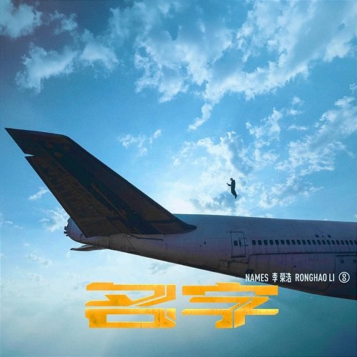 Names Ronghao Li