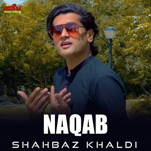 Naqab Shahbaz Khaldi