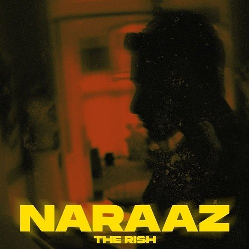 NARAAZ The Rish