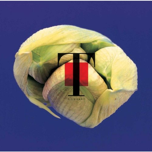 NATURAL T-SQUARE