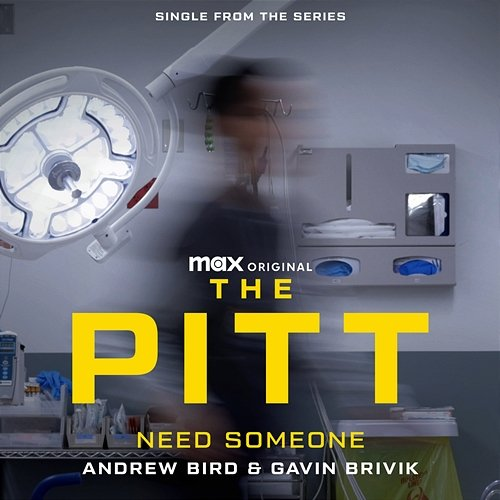 Need Someone Andrew Bird, Gavin Brivik