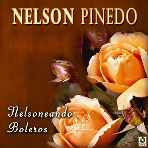 Nelsoneando Boleros Nelson Pinedo