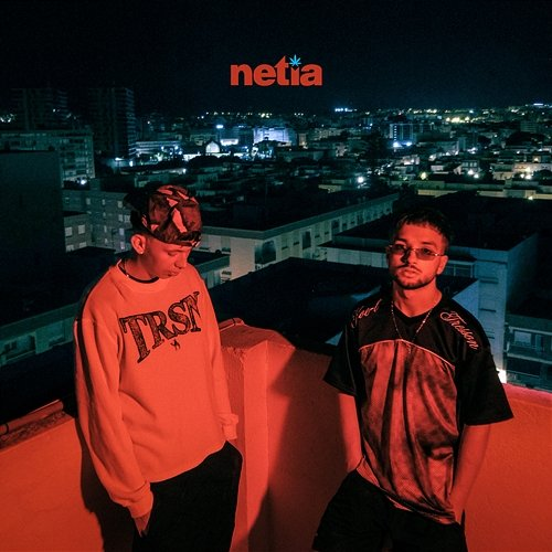 NETIA DDOT, Duczak, Malarz