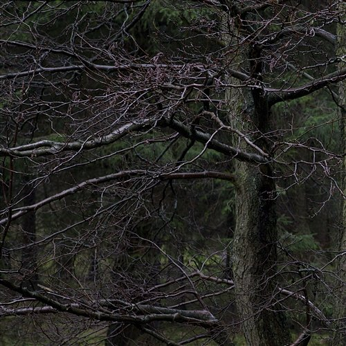 Never Awake Drenge