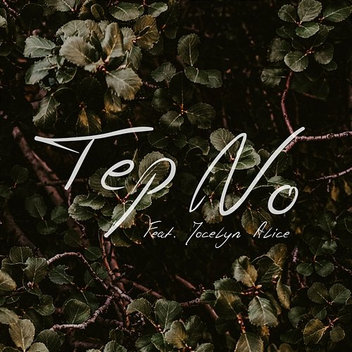 Never Been Hurt Before Tep No feat. Jocelyn Alice
