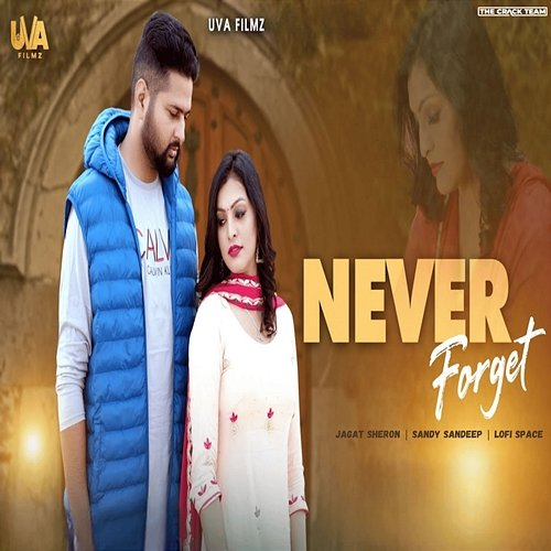Never Forget Jagat Sheron & Lofi Space feat. Sandy Sandeep