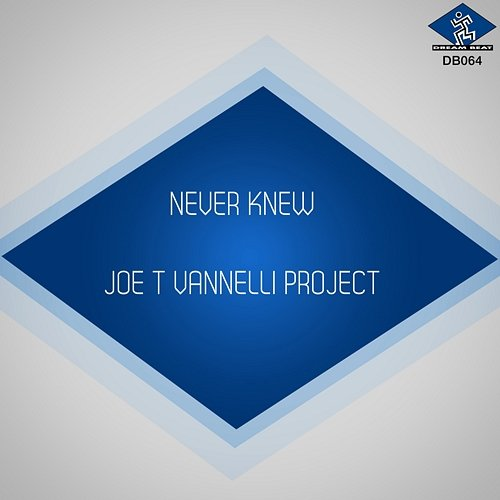 Never Knew Joe T Vannelli Project, Alison Limerick