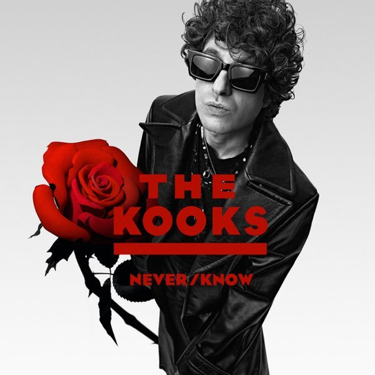 Never/Know The Kooks