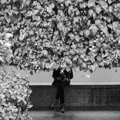 Never Pass Into Nothingness Erland Cooper