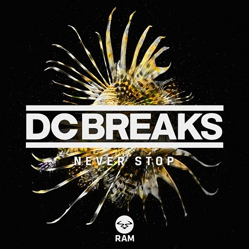 Never Stop DC Breaks