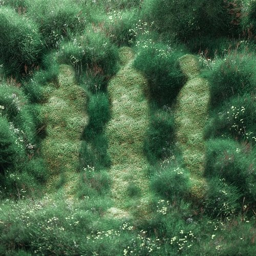New Grass Johannes Brecht Trio feat. Pitou