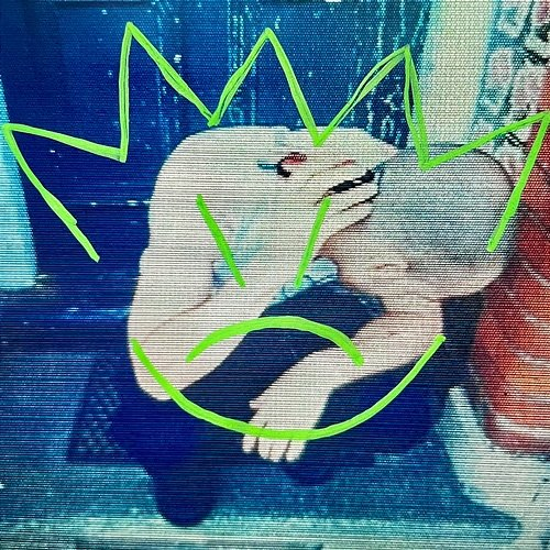 New Mind Elijah Waters