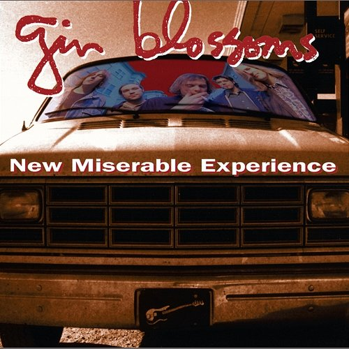 New Miserable Experience Gin Blossoms