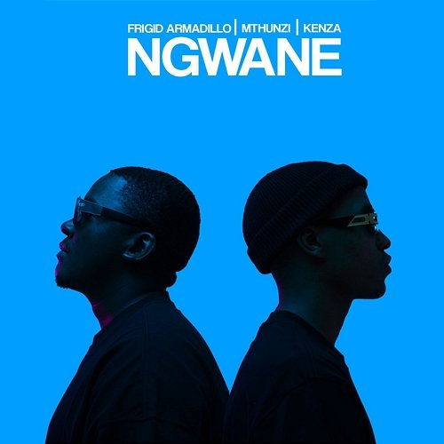 Ngwane Kenza & Mthunzi, Frigid Armadillo