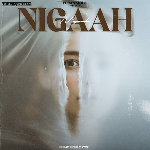 Nigaah Puran Sidhu & Sync