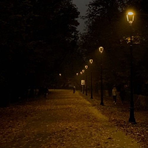 Night Fall MAVE