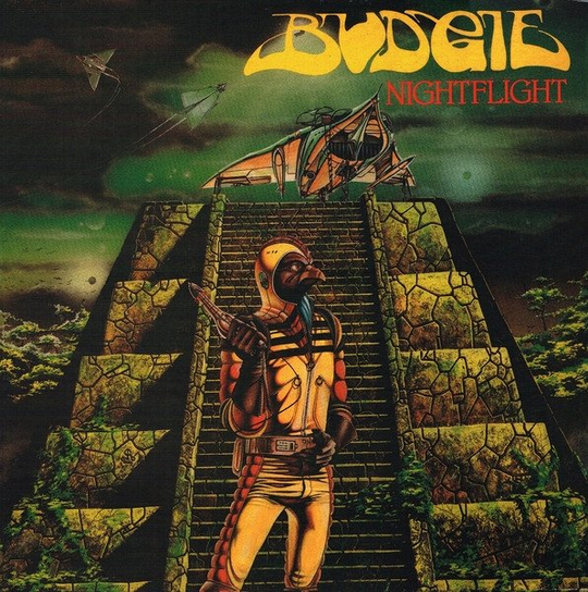 Nightflight Budgie