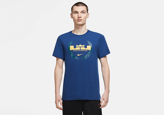 Nike Lebron James Logo Dri-Fit Tee Coastal Blue Nike