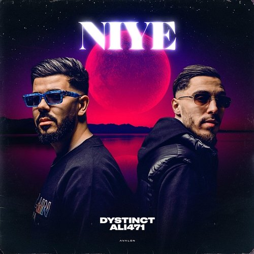 Niye DYSTINCT feat. Ali471