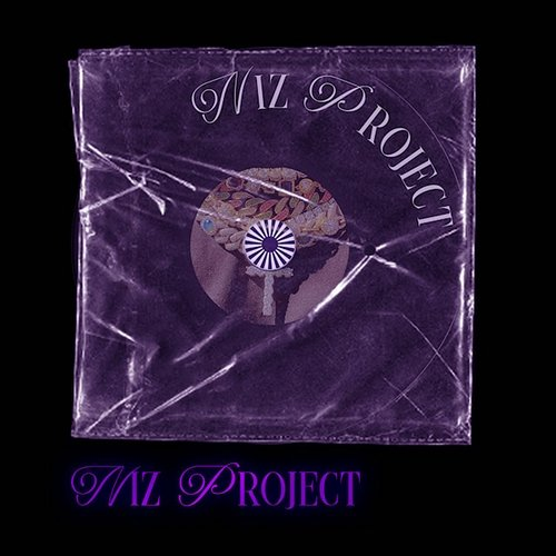 NIZ PROJECT Niz