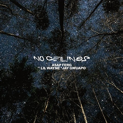 No Ceilings A$AP Ferg feat. Lil Wayne, Jay Gwuapo