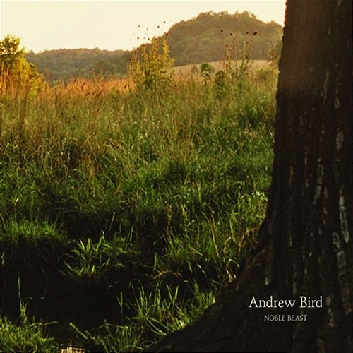 Noble Beast Andrew Bird