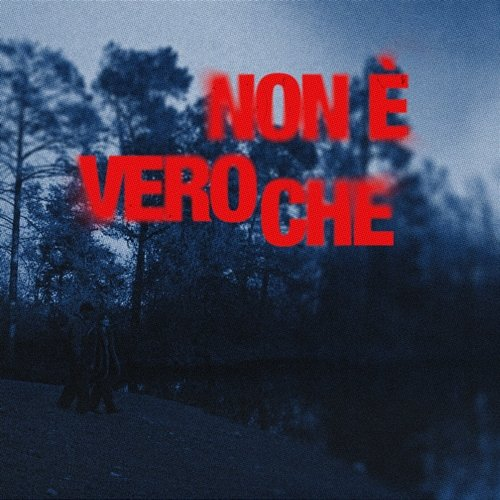 NON È VERO CHE Controsenso