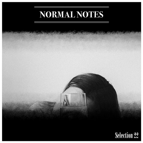 Normal Notes Selection 22 Various Artists