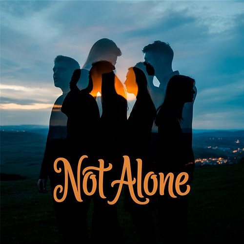 Not Alone Toys Never Found