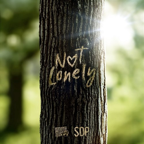 Not Lonely Gestört aber Geil, SDP