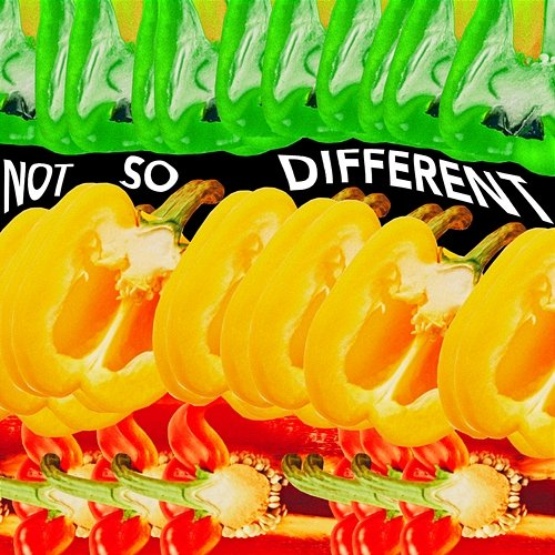 Not So Different Ai