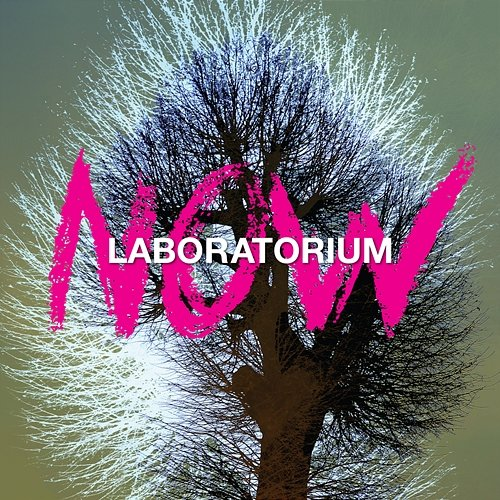 Now Laboratorium