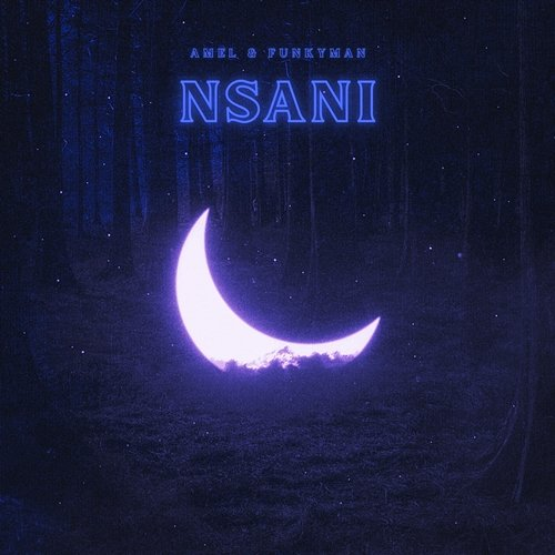 Nsani Amel & Funkyman