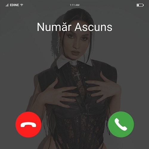 Număr ascuns Edine