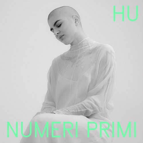 Numeri primi Hu